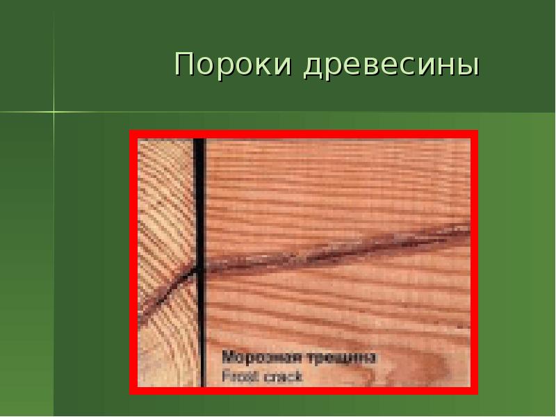 Пороки древесины технология. Дефекты обработки древесины. Пороки древесины дефекты обработки. Дефекты переработки древесины. Пороки обработки древесины резки.