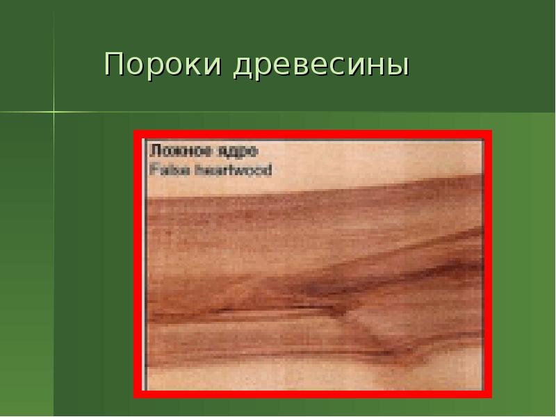 Пороки древесины технология. Дефекты обработки древесины. Пороки древесины: 25%. Пороки обработки древесины вырыв. Пороки обработки древесины резки.