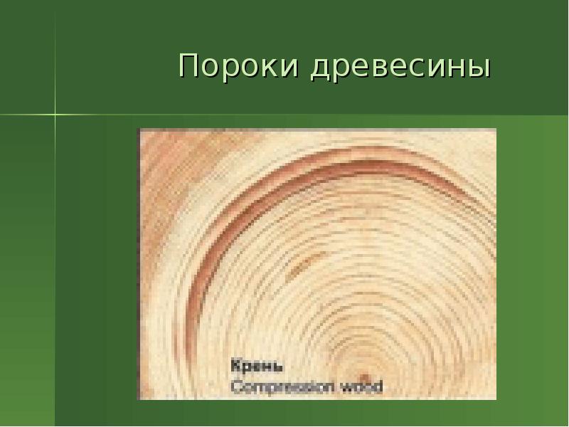 Заготовка древесины пороки древесины лесоматериалы презентация