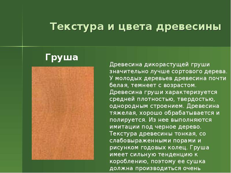 Конспект древесина 5 класс. Структура древесины груши. Цвет древесины груши. Технология обработки древесины. Груша дерево древесина.