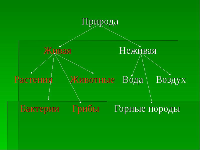 Обсудите какими способами