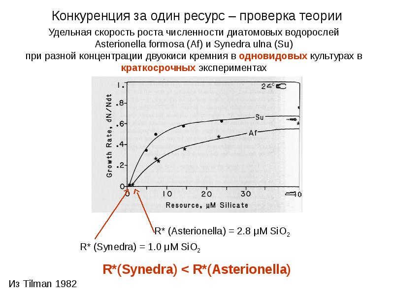 Проверка теории. Удельная скорость роста численности. Удельная скорость роста культуры. Теория конкуренции лотки. Удельная скорость роста рыб.