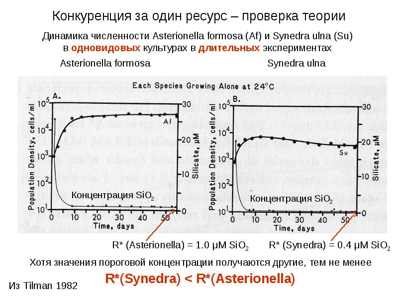 Динамика теория. Теория лотки-Вольтерра. Концентрация sio2 в проволоке. Модель Вольтера лотки конкуренция двух видоы.