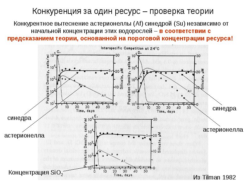 Проверка теории. Теория конкуренции лотки. Практические теории фронтального вытеснения. Конкурентное вытеснение экология ЕГЭ. Концентрация sio2 в проволоке.