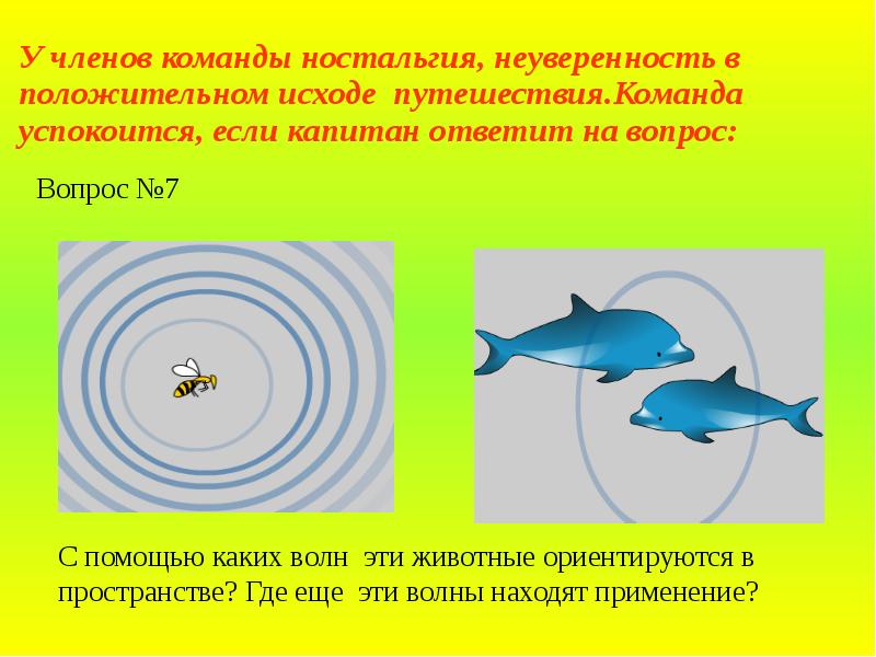 Как ориентируются животные. Животные ориентируются с помощью. Как животные ориентируются в пространстве. Как водные животные ориентируются в пространстве. Как разные животные ориентируются в пространстве сообщение.