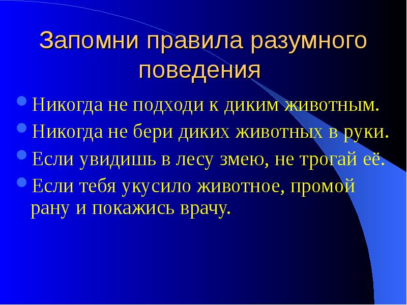 Обоснованное поведение. Разумное поведение. Разумное поведение животных. Правило разумности. Запомни правила.