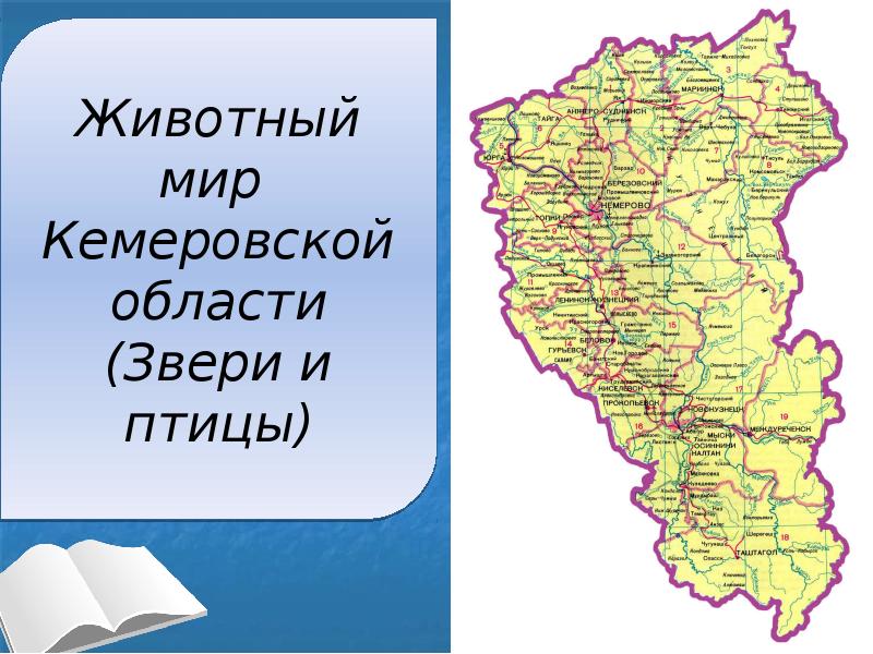 Географическая карта кемеровской области