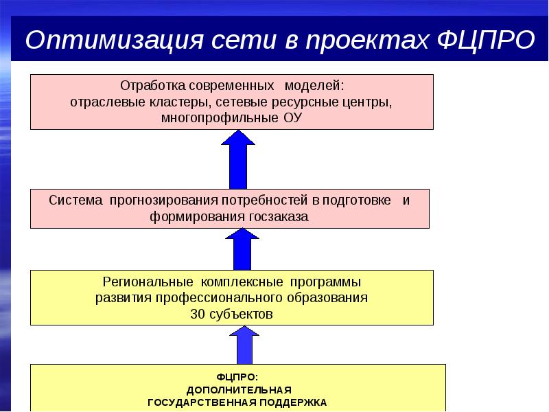 Перспективы развития проекта в школе