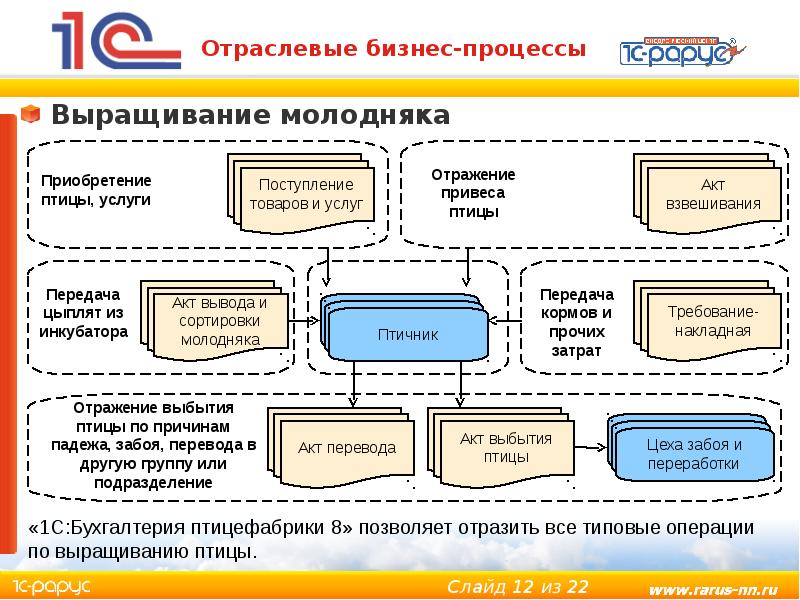 Птицефабрика бизнес план с расчетами