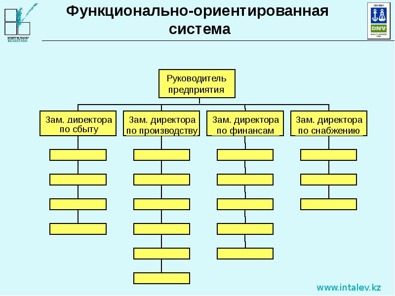 Ориентированные структуры. Функционально-ориентированная организация. Функционально-ориентированная организационная структура. Функционально-ориентированной организационной структуры. Процессно-ориентированная структура.