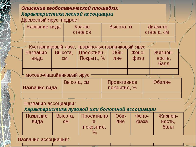 Характеристика лесной. Характеристика древесного яруса. Ассоциация характеристика. Этапы геоботанического описания. Геоботаническое описание растительности.