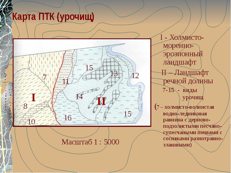 Урочище слова. Ландшафтные урочища. Виды урочищ. Ландшафтная карта урочища. Карта природно территориальных комплексов.