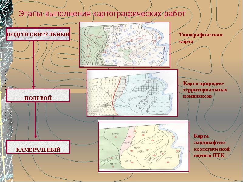 Карта исследования лесов