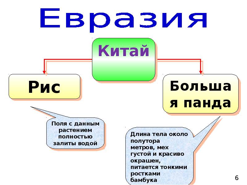 Жизнь на разных материках презентация