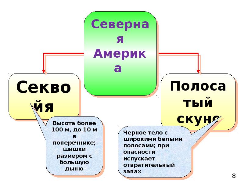 Используя информационные ресурсы подготовьте презентацию проекта