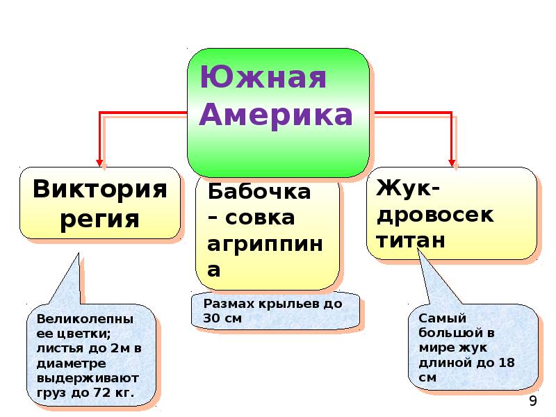 Используя информационные ресурсы подготовьте презентацию проекта