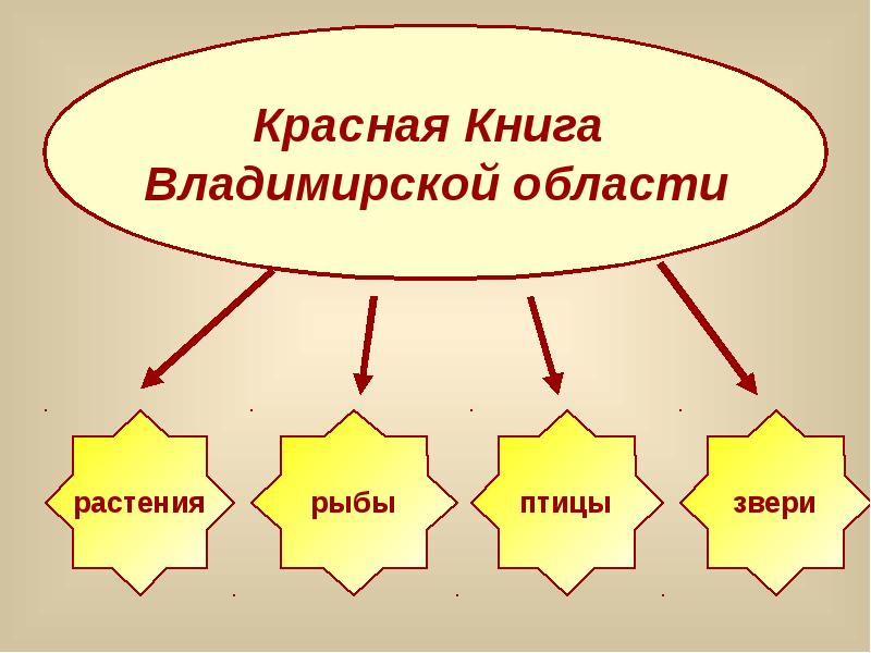 Презентация про красную книгу владимирской области