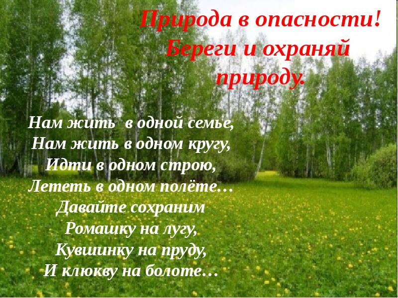 Песня давайте сохраним. Давайте сохраним ромашку на лугу. Давайте сохраним слова. Давайте сохраним песня. Давайте сохраним Серебренников.