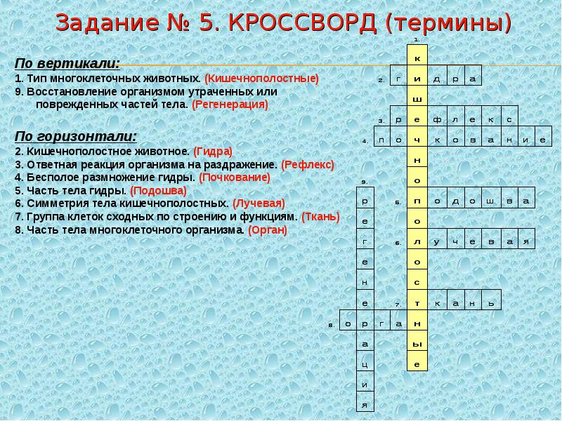 Система органов многоклеточных животных таблица