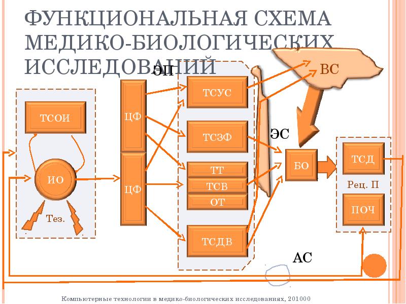 Медико биологические исследования