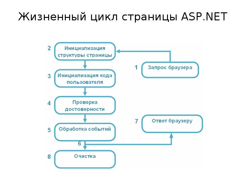 Asp net структура проекта