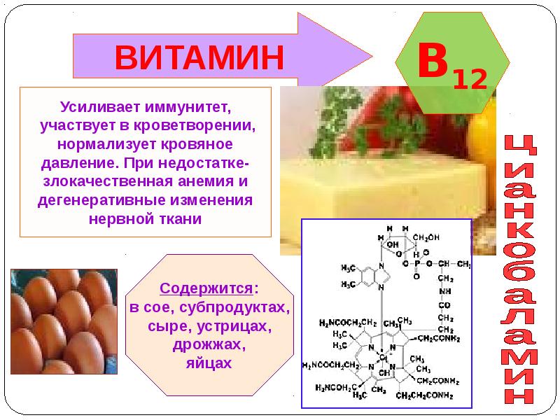 Витамины и их влияние на организм человека проект