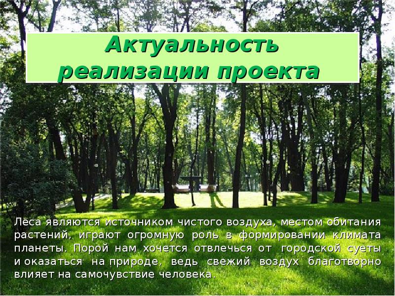 Что такое зеленый день. Актуальность леса. Актуальность : лес. Зелёный проэкт сообщение. Юнона зеленый проект.