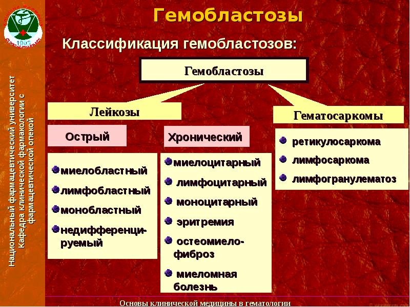 Гемобластозы это. Гемобластозы классификация. Принципы классификации гемобластозов. Общая характеристика гемобластозов. Гемобластозы у детей классификация.