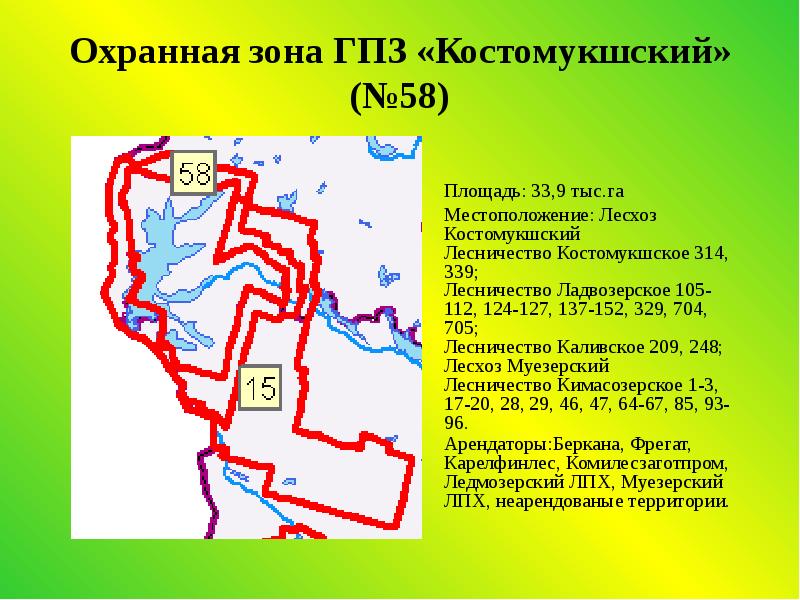 Костомукшский заповедник презентация