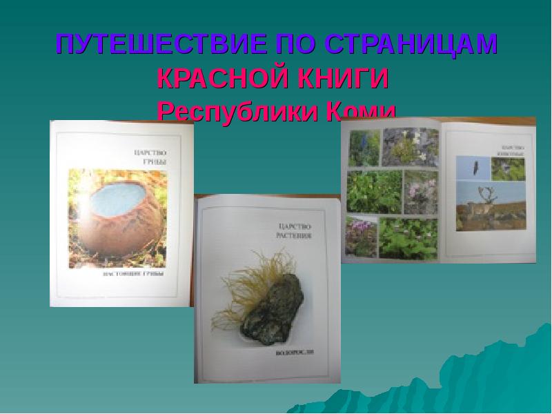 ПУТЕШЕСТВИЕ ПО СТРАНИЦАМ  КРАСНОЙ КНИГИ  Республики Коми