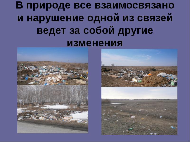 В природе все взаимосвязано. В природе всё взаимосвязано. В природе всё взоимо связоно. В природе все взаимосвязано доклад. Доклад на тему в природе всё взаимосвязано.