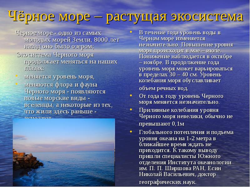 Как менялось море. Экосистема черного моря. Проблемы черного моря. Характеристика черного моря. Чёрное море проблемы моря.