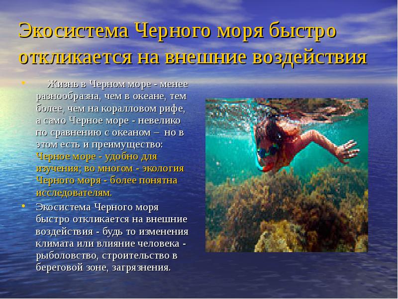 Сохранение черного моря