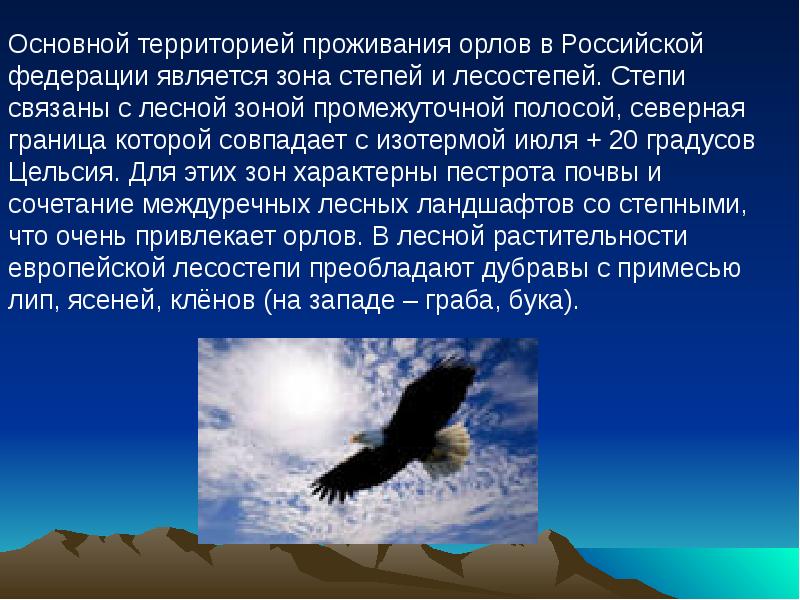 Орел текст. Орел презентация. Презентация на тему Орел. Степной орёл презентация. Доклад про орла.