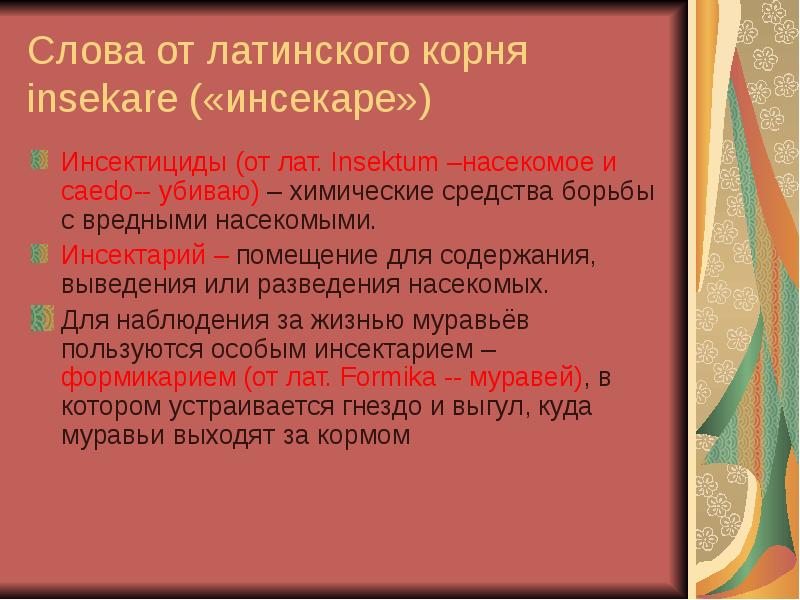 латинского корень слова. корень латынь. греческие корни латынь. слова произошедшие от латинского. придумай предложение со словом корень.