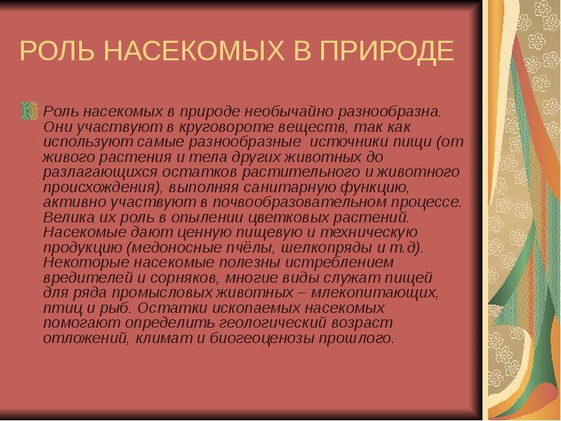 Функции насекомых. Ролл насекомых в природе. Ролл насекомых Врироде. Роольнасекомых в природе. Роль насекомых в природе кратко.