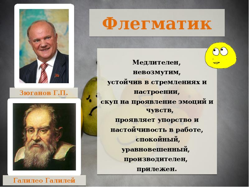 Флегматик фото для презентации