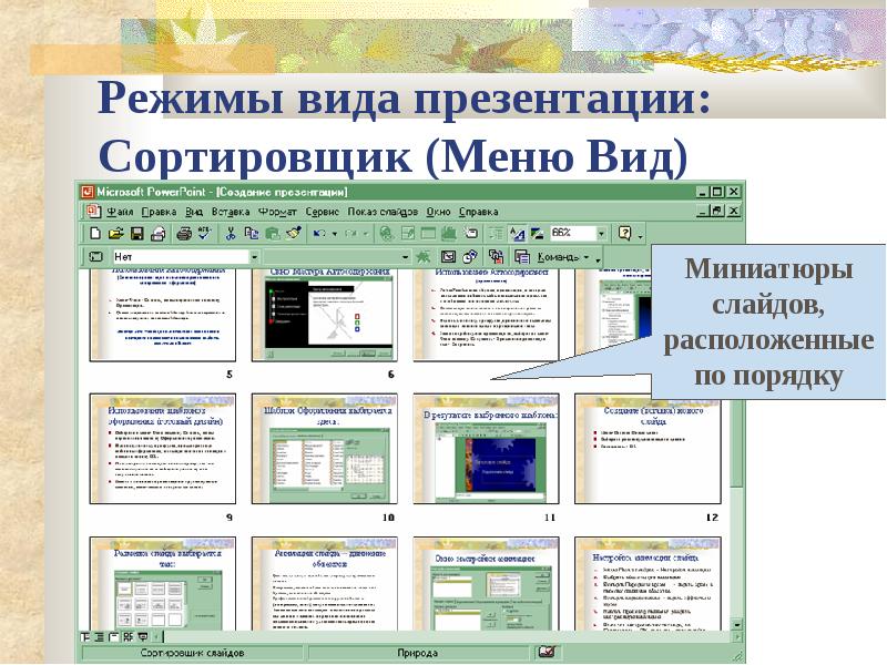 Презентация просмотр темы. Режим сортировщика слайдов. Какие объекты можно размещать на слайде. Перечислите виды презентаций. Вид миниатюр в слайдах поинт.