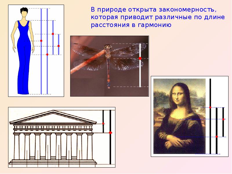 Золотое сечение изображение