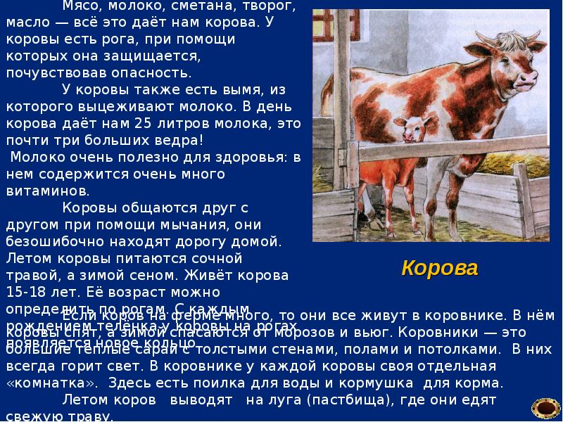 Домашнее сельскохозяйственное животное сообщение 3 класс окружающий. Информация о корове. Сообщение о корове. Доклад про корову. Доклад по домашних животных.