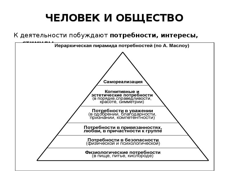 Потребности в деятельности человека план