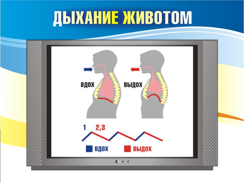 Дыхательная животом. Дыхание животом. Правильное дыхание животом. Как правильно дышать животом. Учимся правильно дышать.