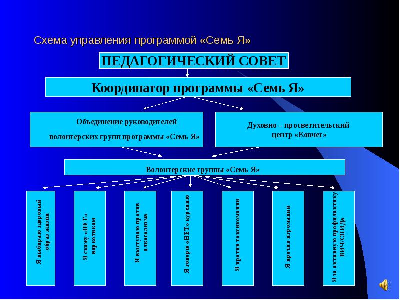 Программа семь. Координатор программ развития сообществ.