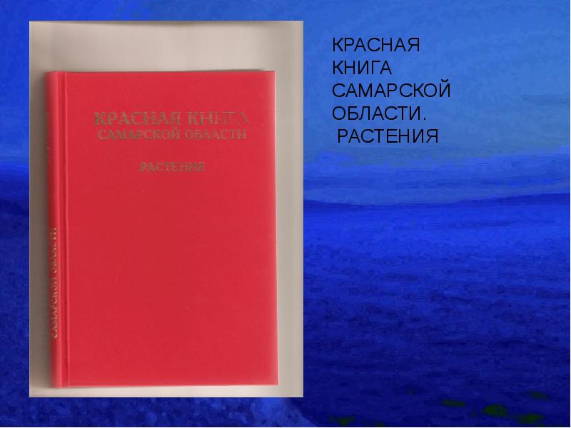 Фото красной книги самарской области