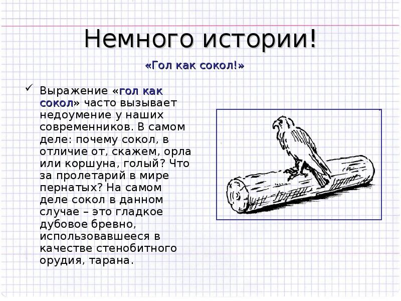 Гол как сокол. Сокол фразеологизмы. История происхождения слова Сокол. Зачем я не Сокол зачем не летаю. Сокол обозначает предмет.