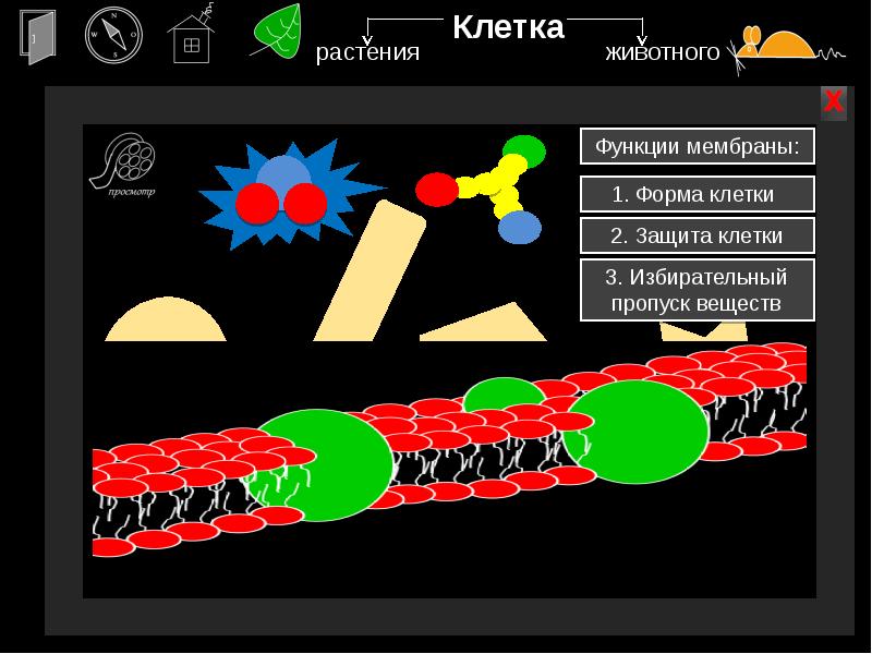 Защита клетки