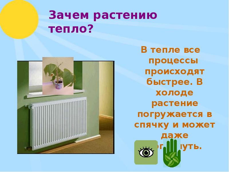 Тепло растения