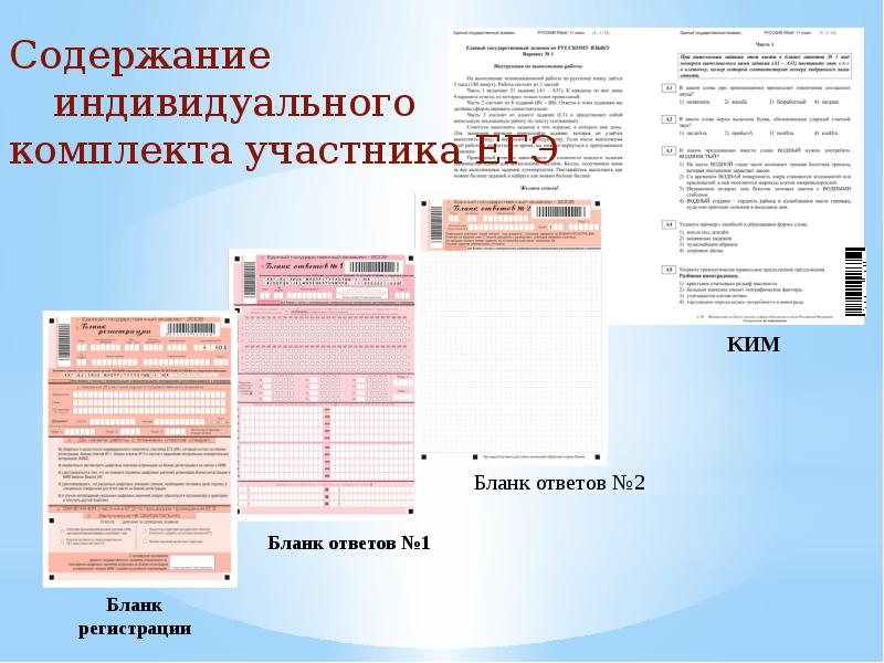 Какая информация содержится. Контрольный лист участника ЕГЭ. Контрольный лист индивидуального комплекта ЕГЭ. Индивидуальный комплект участника ОГЭ. Информация на контрольном листе ЕГЭ.