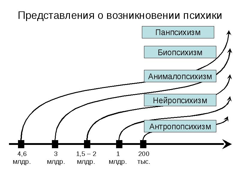 Представление о происхождении