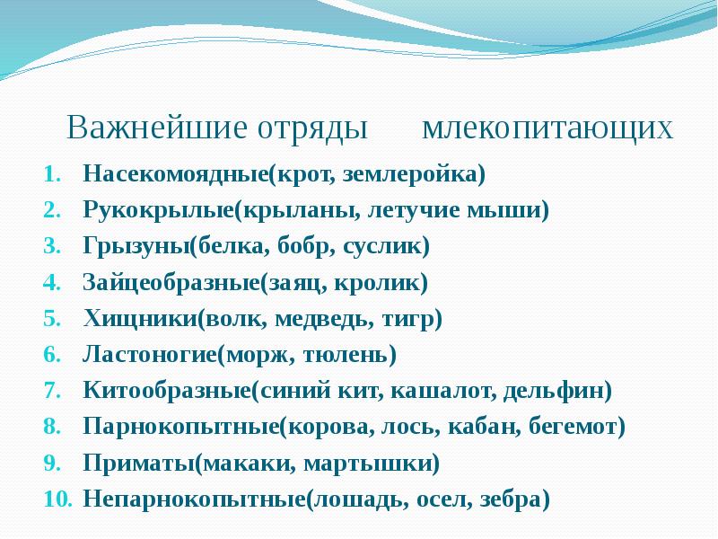 Класс отряд биология. Отряды млекопитающих. Важнейшие отряды млекопитающих. Классификация отрядов млекопитающих. Систематика млекопитающих отряды.